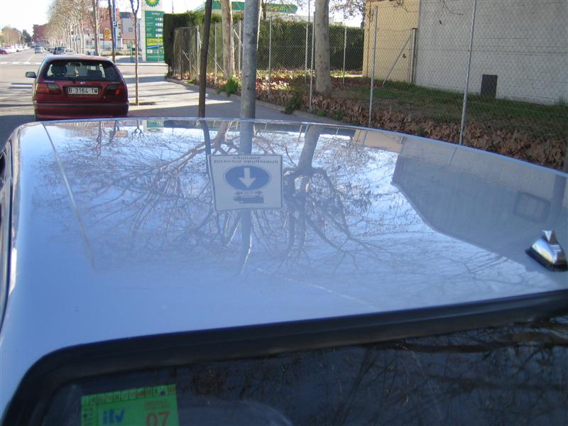 IMG_5220%20(Medium).JPG