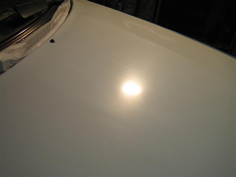 IMG_5310%20%28Medium%29.JPG