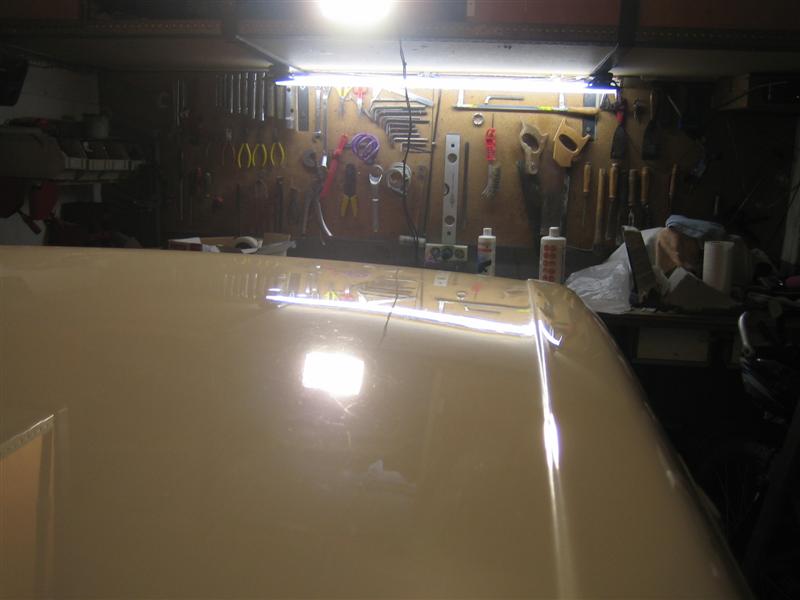 IMG_5325%20(Medium).JPG