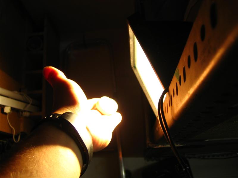 IMG_8151%20%28Medium%29.JPG