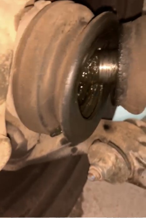 42E10BB2-4072-4848-99E5-6EB93522339B.jpeg (979.88 KiB) Visto 10086 veces Gran felicidad inunda mi cuerpo al ver esto