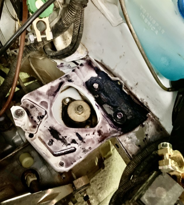 D6873C88-A871-497A-B3D2-43BE9D940339.jpeg (1.3 MiB) Visto 12509 veces No me preocupe mucho en la estética, preferí tapar todos las posibles picaduras, total toca esmaltar